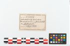 Etikett zu Bronzelappenbeil (NHMW-PRAE-040274)
